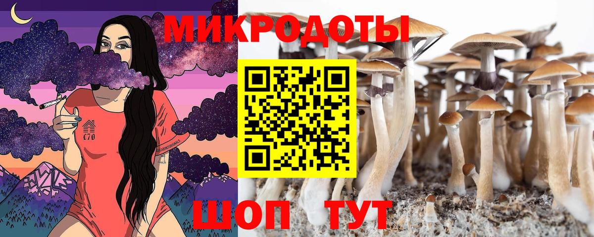 Галлюциногенные грибы ЛСД  Вход с VPN  Темрюк  Галлюциногенные грибы MAGIC MUSHROOMS 