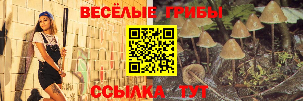 Псилоцибиновые грибы Magic Shrooms Темрюк